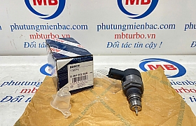 0281002829 Van áp suất nhiên liêu Veracrus