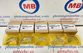 210202R900 Bạc trục cơ (cổ giữa) Carnival,Santafe,Sorento 2.2