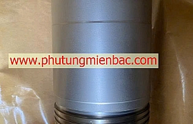 2113184700 Xylanh D6CC/D6CE