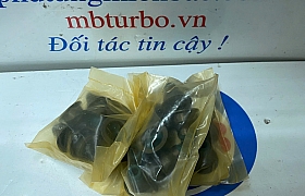 222243A000 phớt git Veracrus