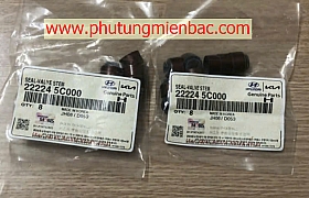 222245C000 Phớt git D4GA