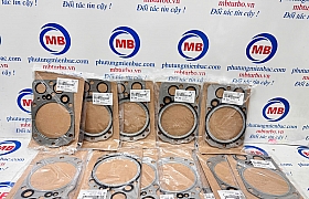 2231183802 Gioăng mặt máy D6AC