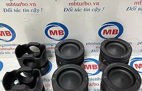 2341184800 Piston D6CC 