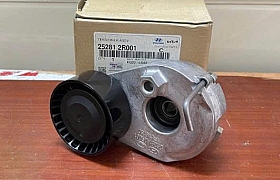 252812R001 Bi tăng tổng Carnival,Sorento,Santafe