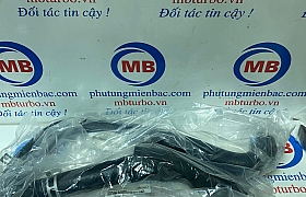 254113J000 ống nước trên két nước Veracrus