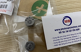 2950409416 Van kim G16 Solati/Mighty Ex8