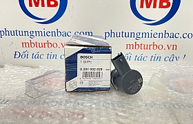 314023A000 Van áp suất thanh nhiên liêu Veracrus