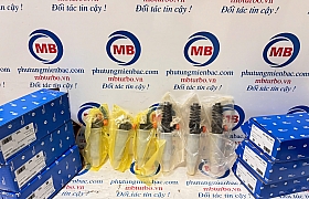 3380084300 Kim phun D6CG 