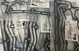 3846784050 Gioăng bơm hơi ( đen) D6CB