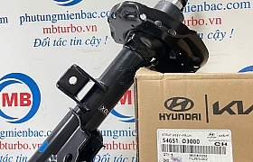 54651O3000 Giảm xóc trước trái Custin