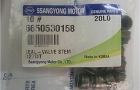 6650530158_Phớt git Ssangyong Actyon Sport