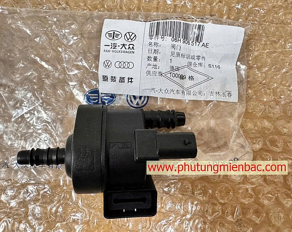 06H906517AE Van hơi thừa nhiên liệu Volkwagen Tiguan