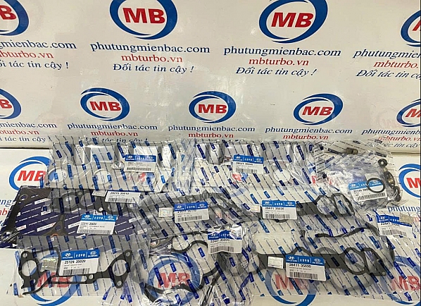 2091035A03 Gioăng đại tu Granduer 3.0/Galloper