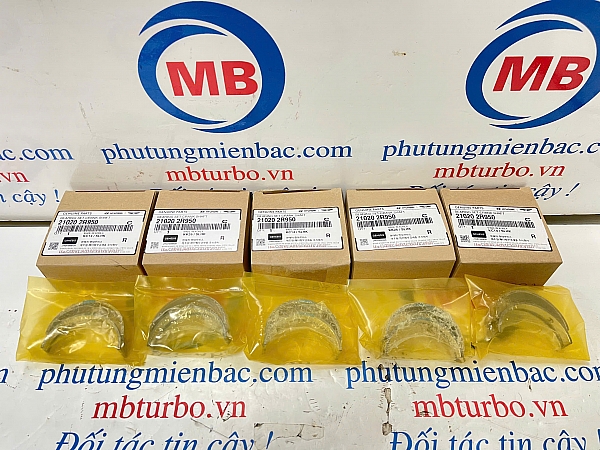 210202R950 Bạc trục cơ (cổ ngoài) Carnival/Sorento/Santafe 2.2 Model 2021-2024