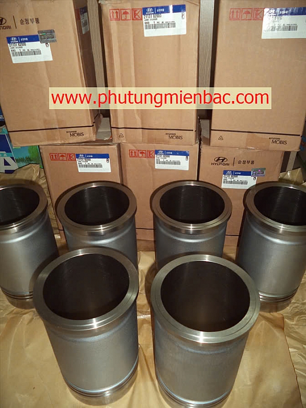 2113184401 Xylanh động cơ