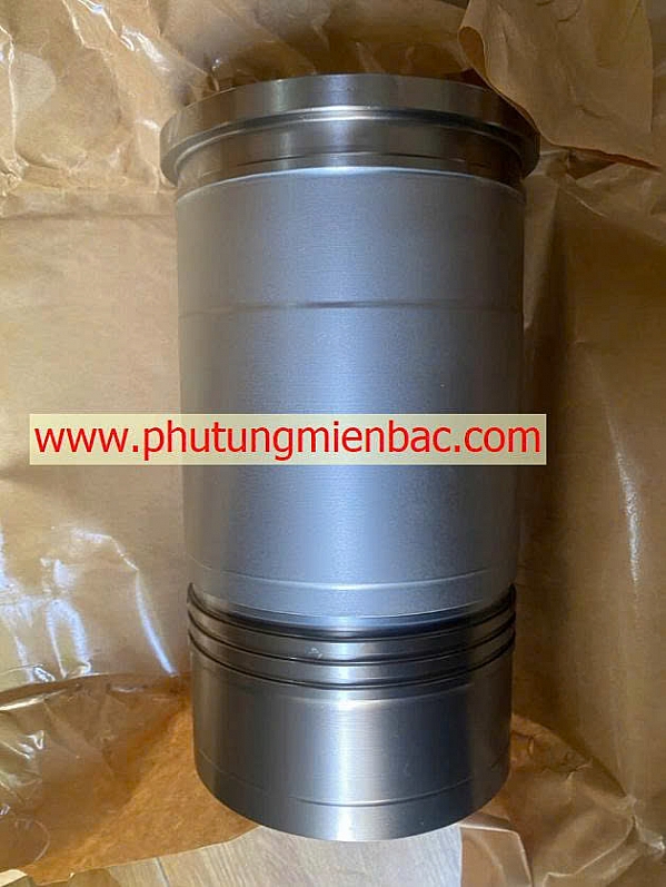 2113184700 Xylanh D6CC/D6CE