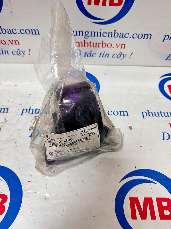 219102G500 Chân máy trước Carens