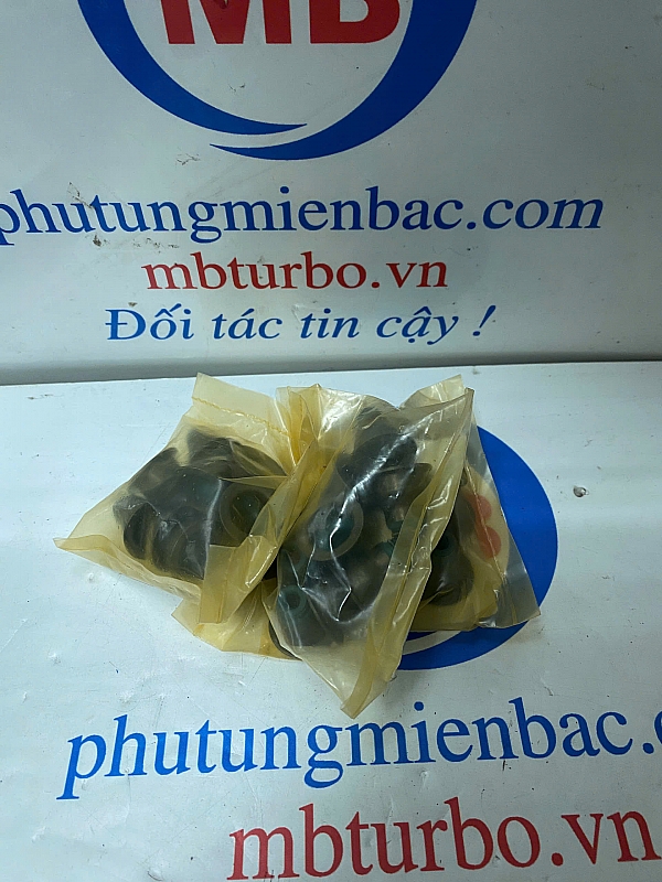 222243A000 phớt git Veracrus
