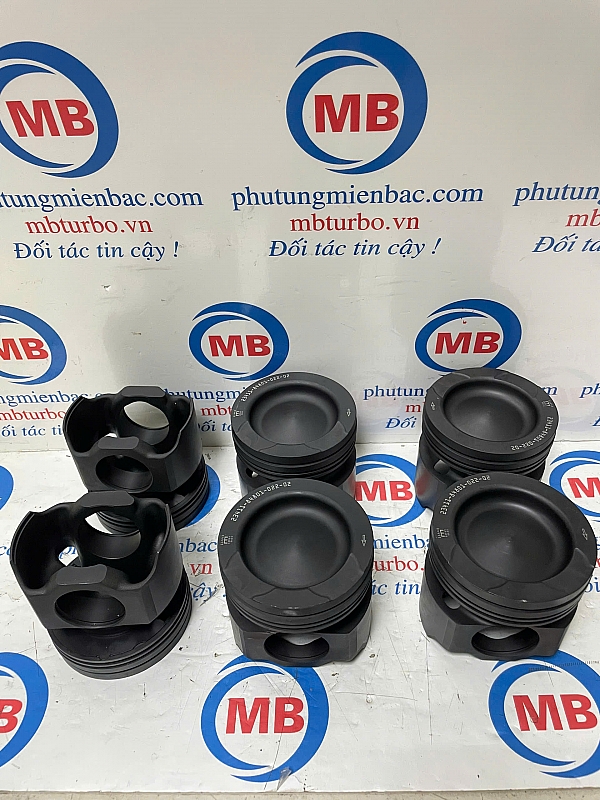 2341184800 Piston D6CC 