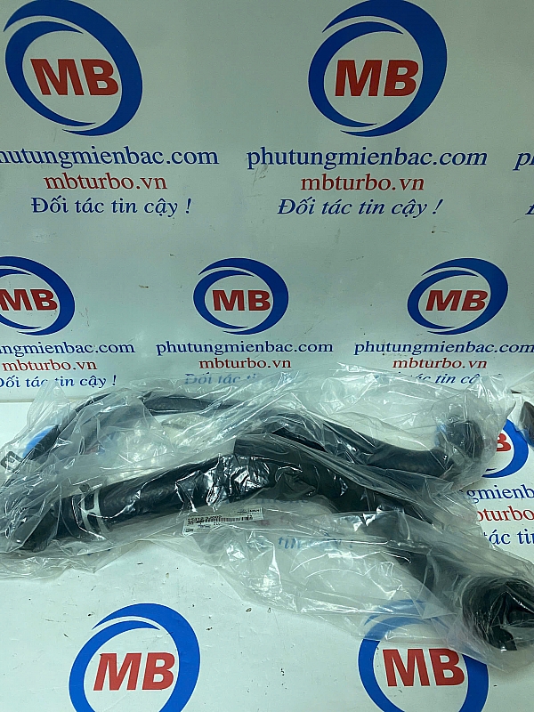 254113J000 ống nước trên két nước Veracrus