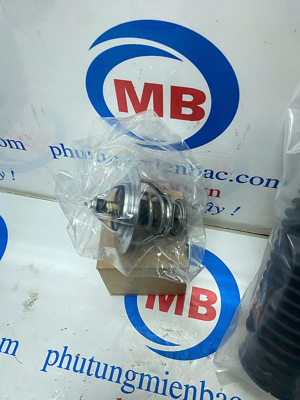 255003A000 Van hàn nhiệt Veracrus