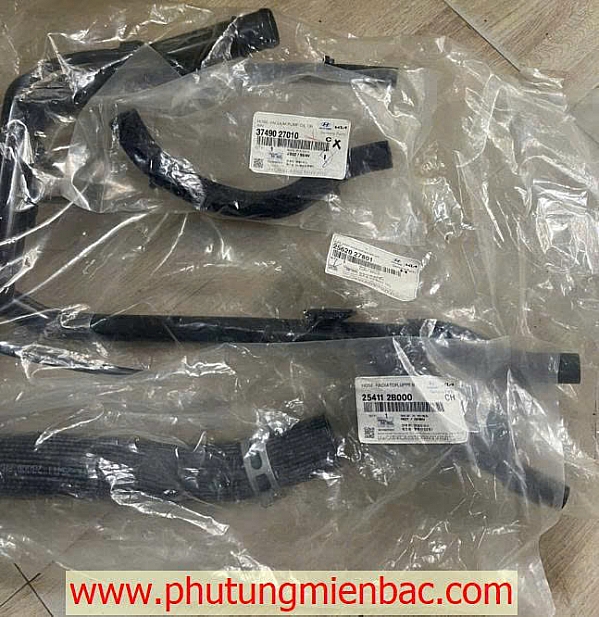 2562027801 Ống chia nước chính Santafe