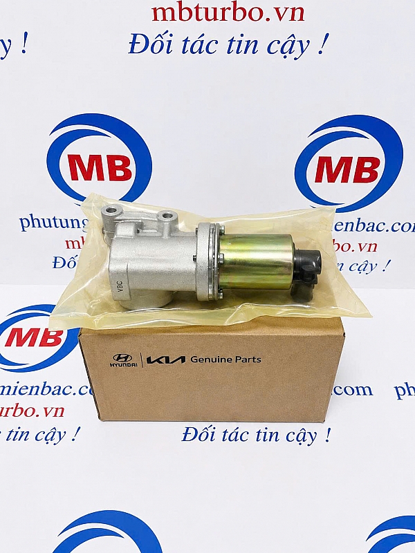 284102A300 Van EGR I30 / Elantra 