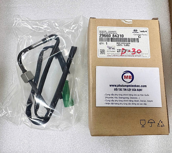 2966084310 Cảm biến nhiệt độ bầu xúc tác khí xả D6CG