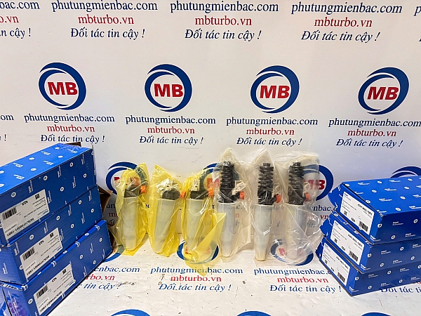 3380084300 Kim phun D6CG 