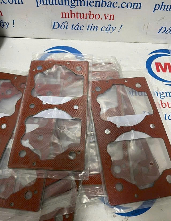 3846584050 Gioăng bơm hơi ( đỏ) D6CB