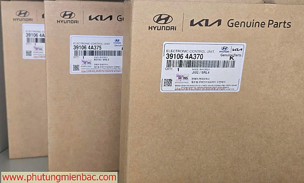 391064A370 Hộp ECU Kia Bonggo 3
