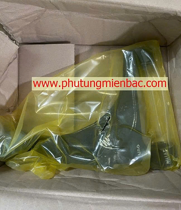 552302P000 Càng A sau trên trái Veracrus
