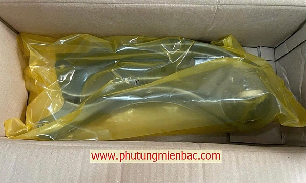 55270R0000 Càng đỡ sau trái Carnival 2021