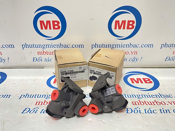 598607P000 Van xả hơi phanh trước Trago/Univer