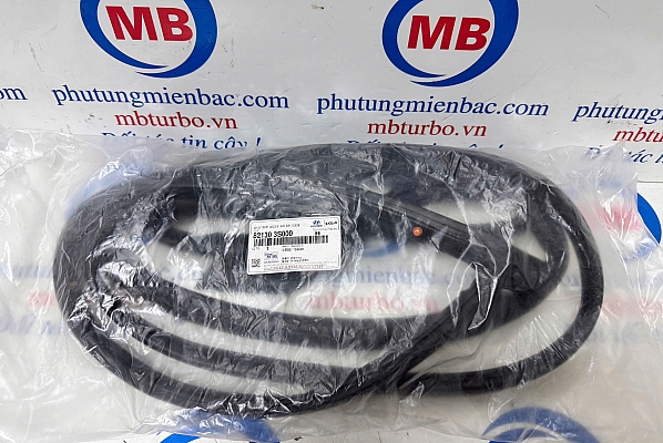 821303S000 Gioăng cửa trước trái Sonata