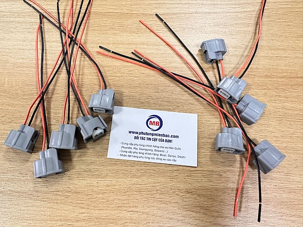 HW1059 Giắc kim phun